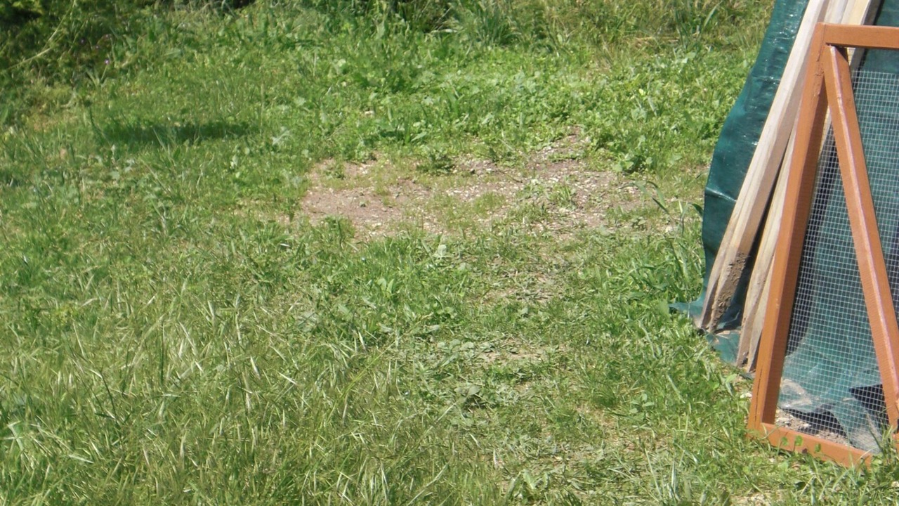 Photo of Outdoor in Beurnevesin