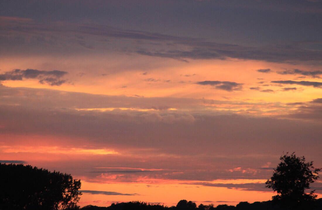 Photo of Others in Gumley