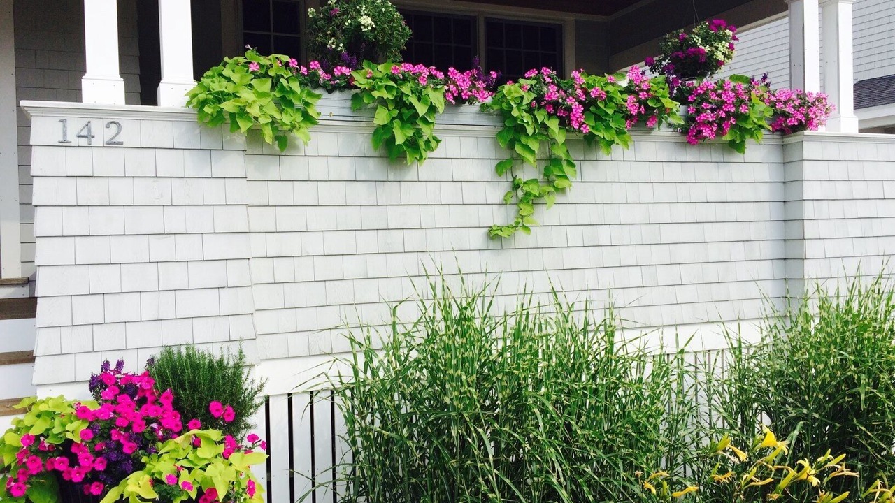 Photo of Others in Scituate