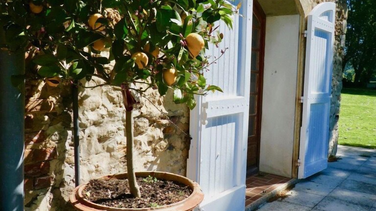 Photo of Outdoor in Bollene