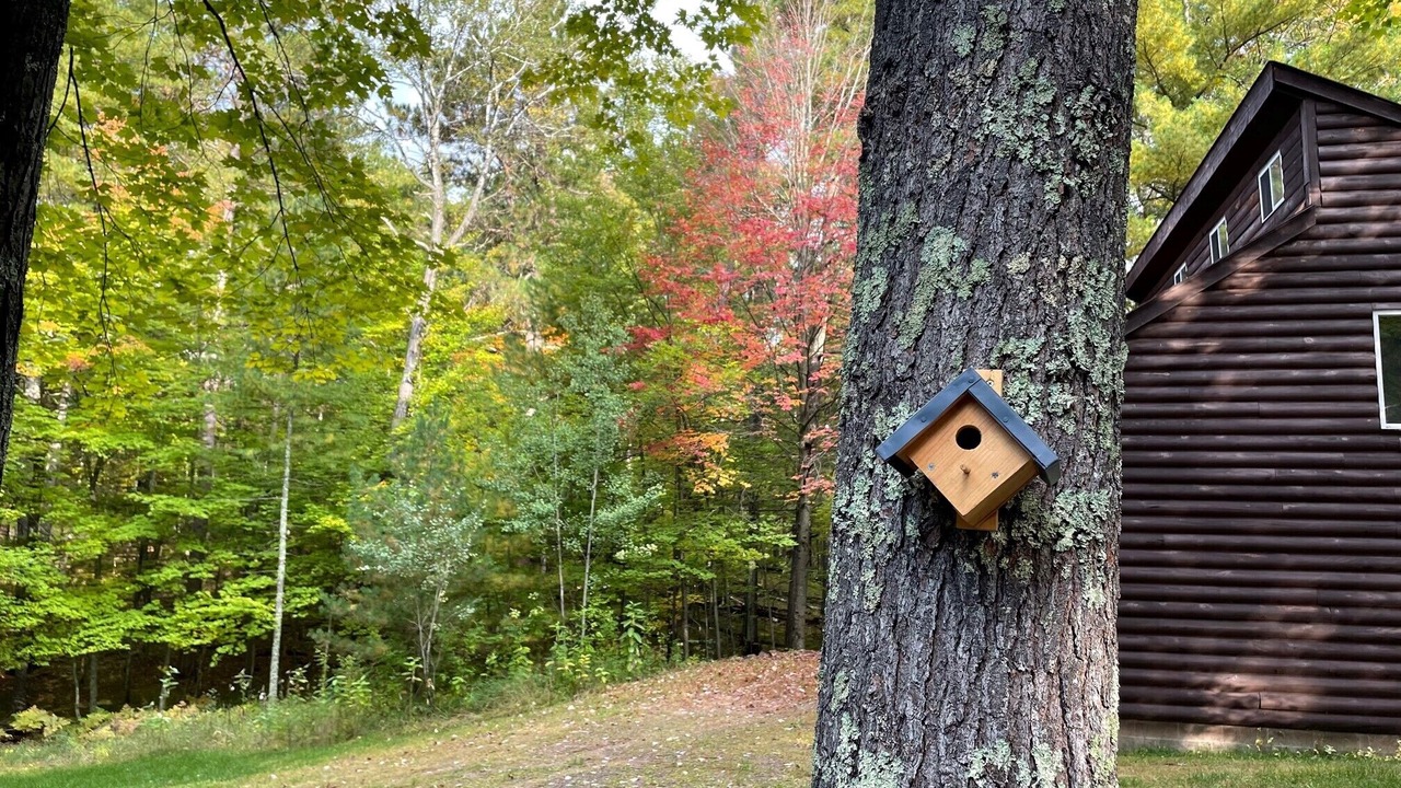 Photo of Others in Danbury