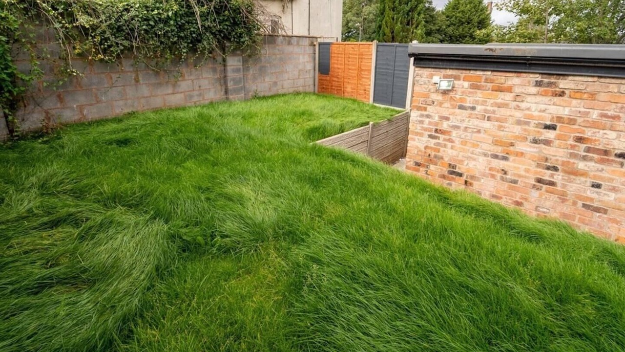 Photo of Others in Selly Oak