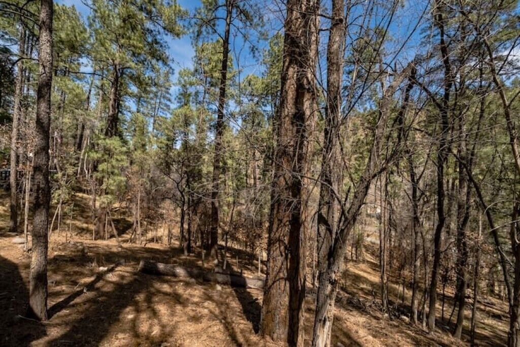 Photo of Outdoor in Ruidoso