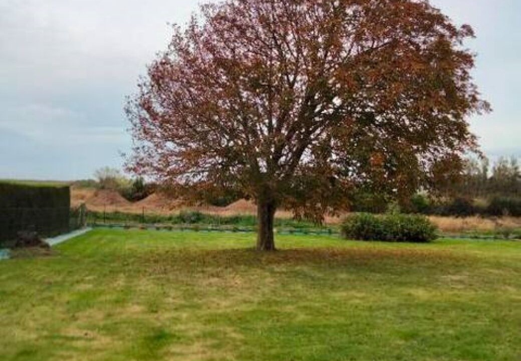 Photo of Outdoor in Tocqueville-sur-Eu