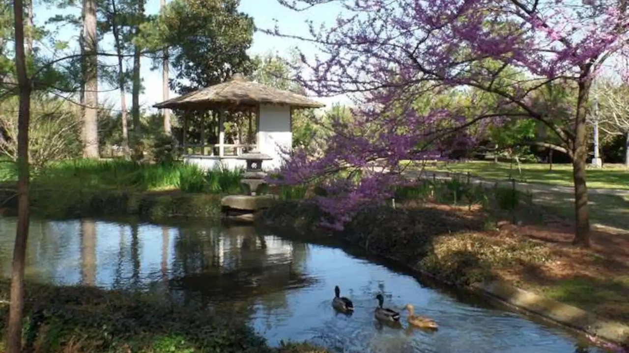 Photo of Outdoor in Southeast Houston