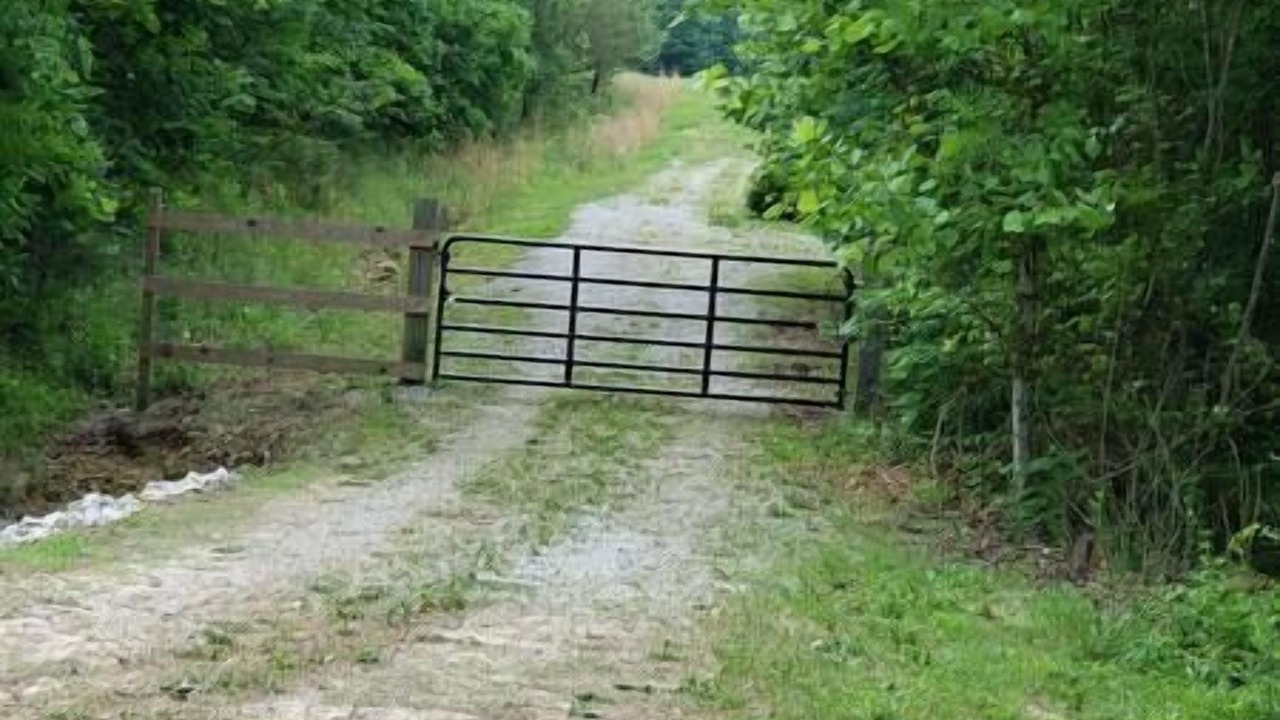 Photo of Others in Clarkson