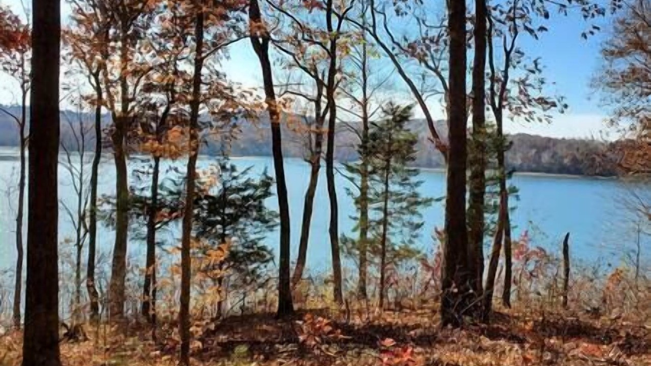 Photo of Outdoor in Clarkson