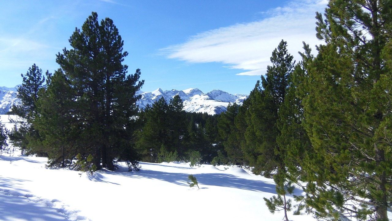 Photo of Others in Sainte-Colombe-sur-lHers