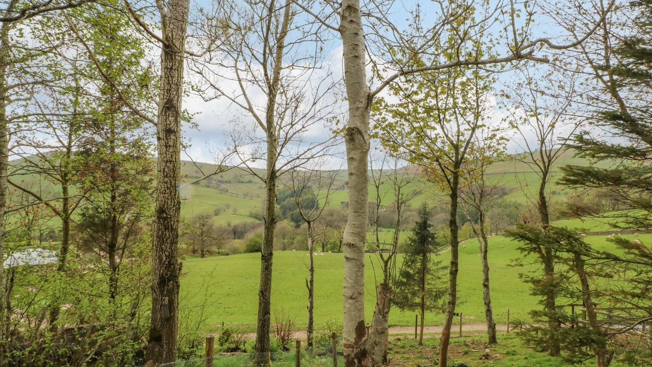 Photo of Outdoor in Allgreave