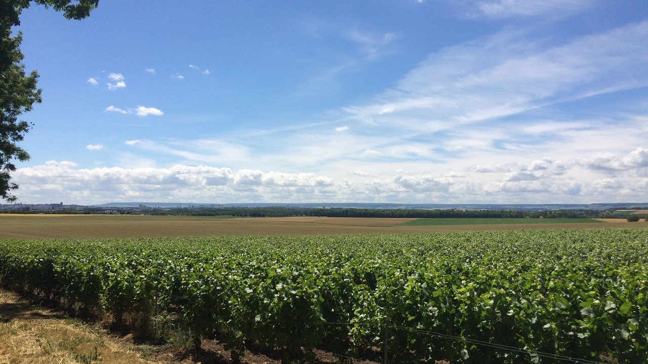 Photo of Others in Saint-Thierry