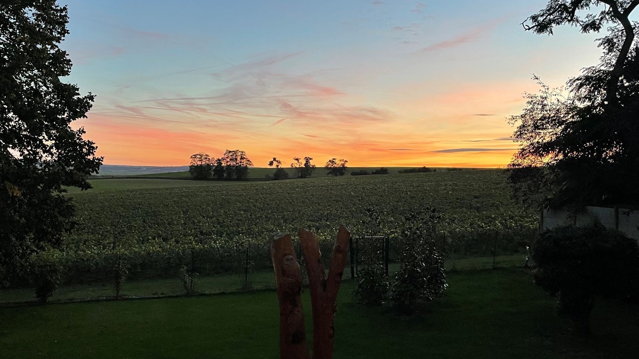 Photo of Others in Saint-Thierry