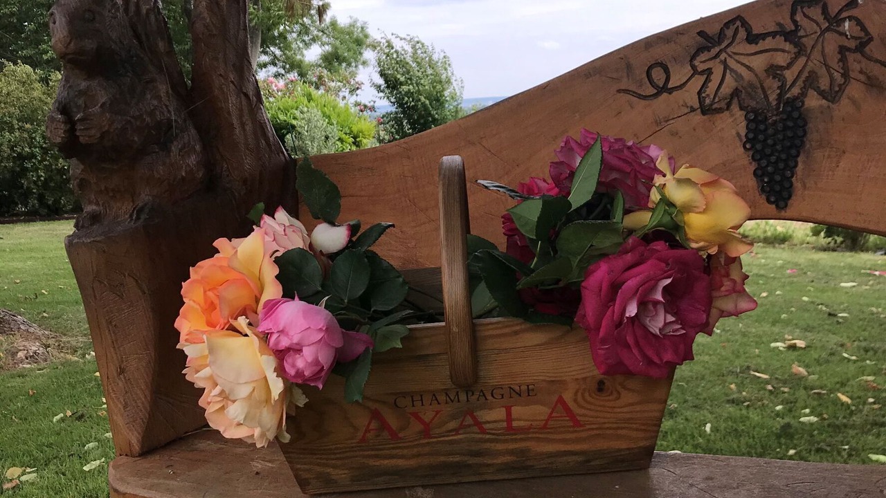 Photo of Outdoor in Saint-Thierry