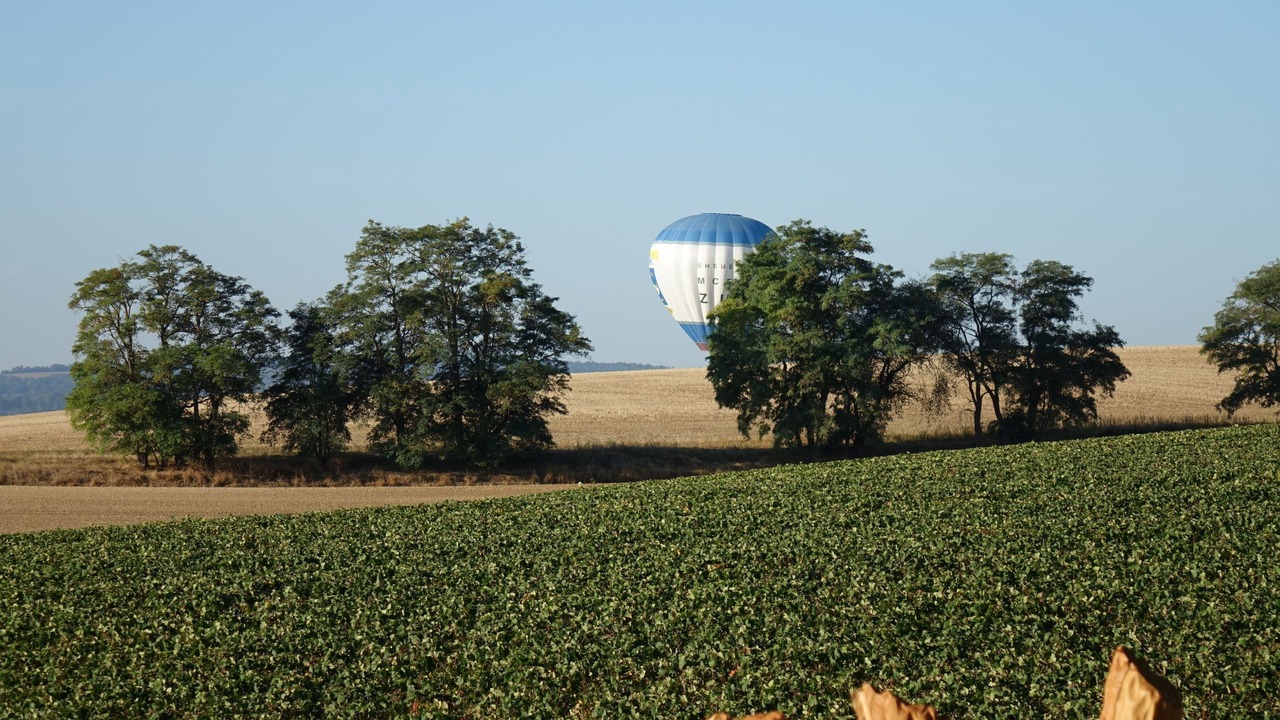 Photo of Outdoor in Saint-Thierry