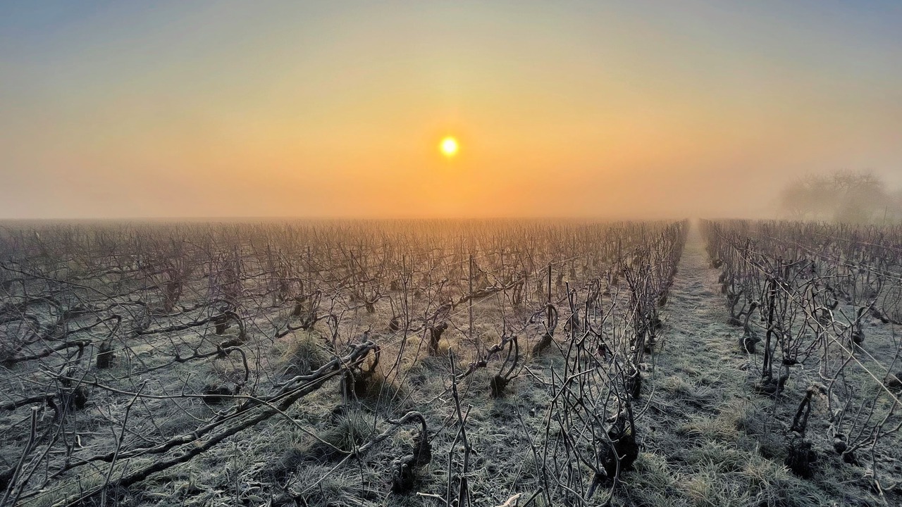 Photo of Others in Saint-Thierry