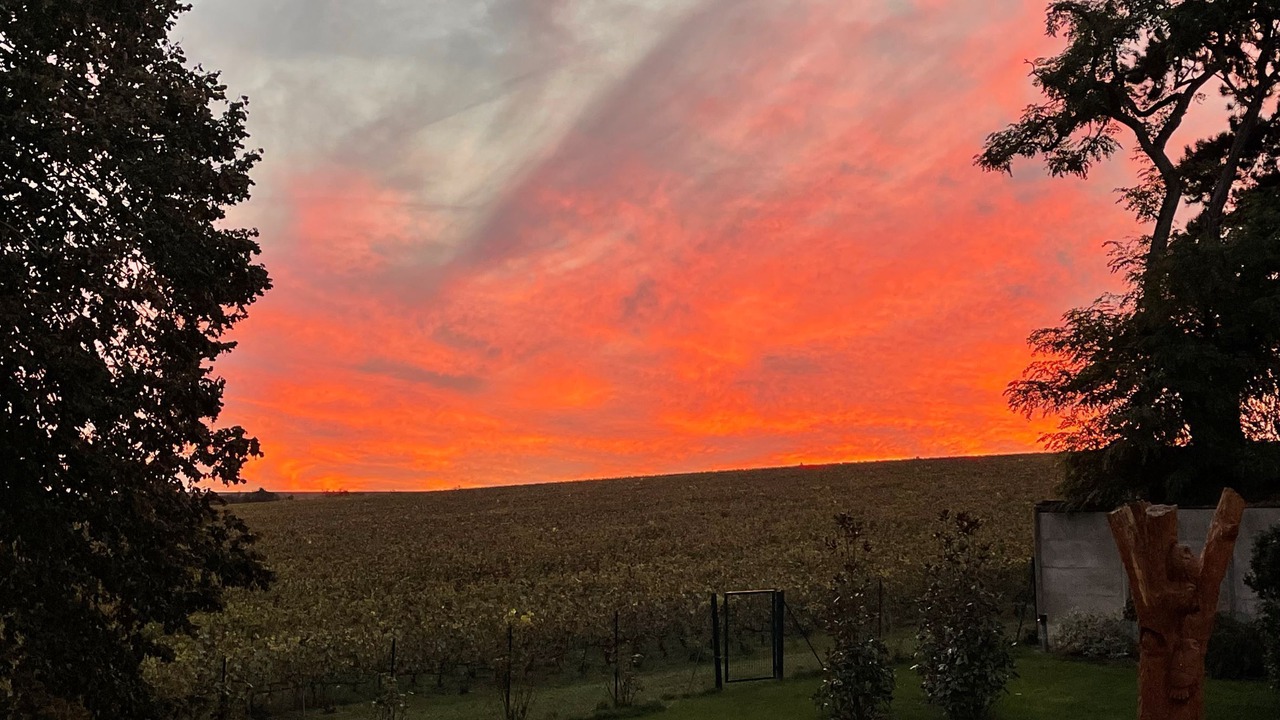 Photo of Others in Saint-Thierry