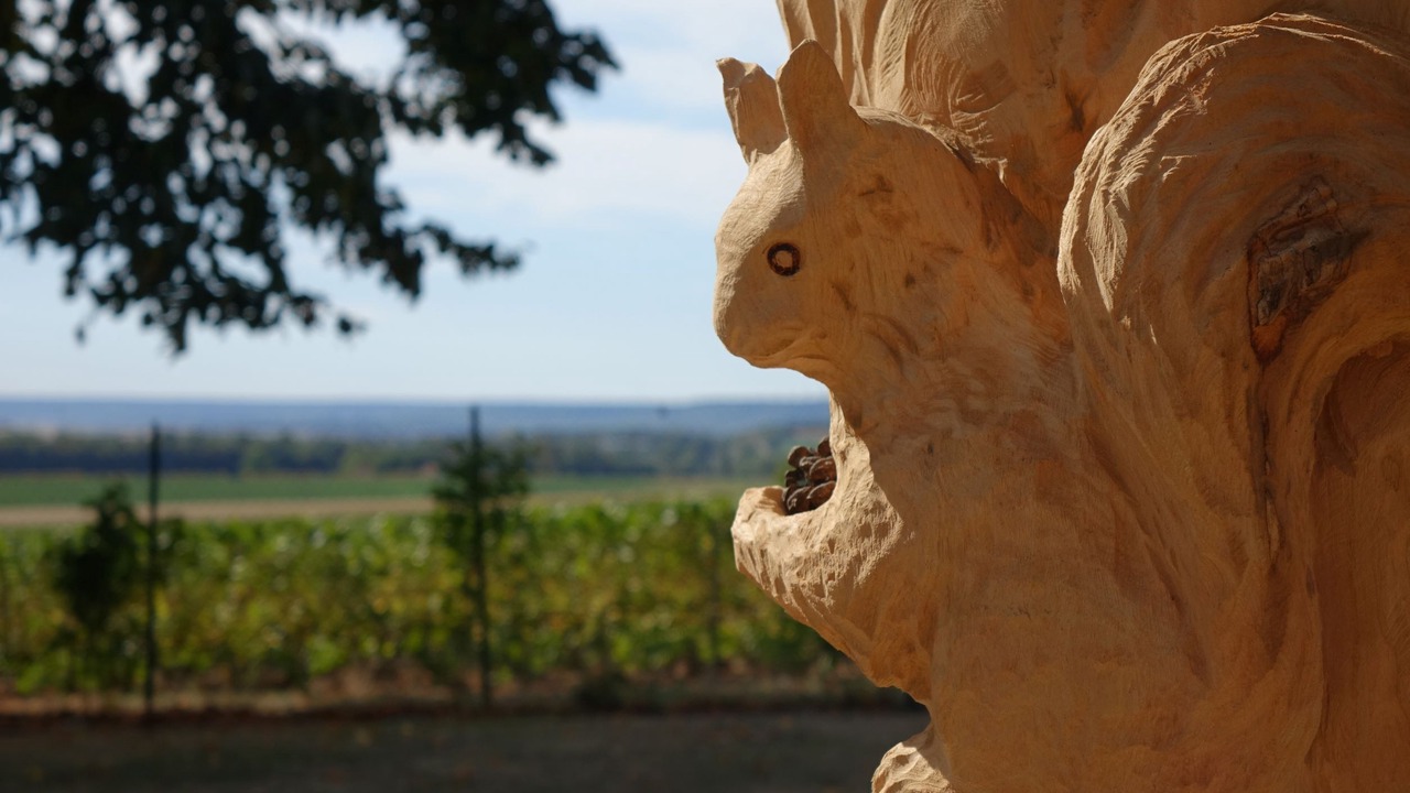 Photo of Outdoor in Saint-Thierry