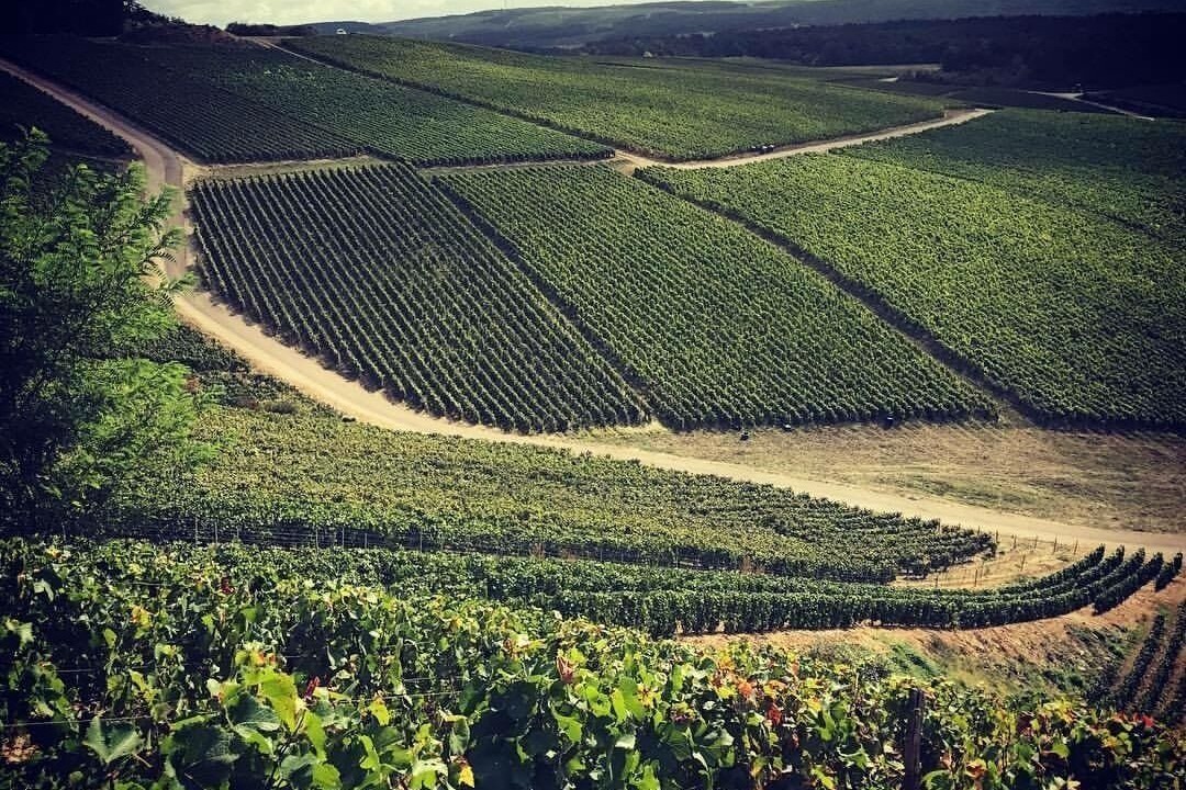 Photo of Others in Saint-Thierry