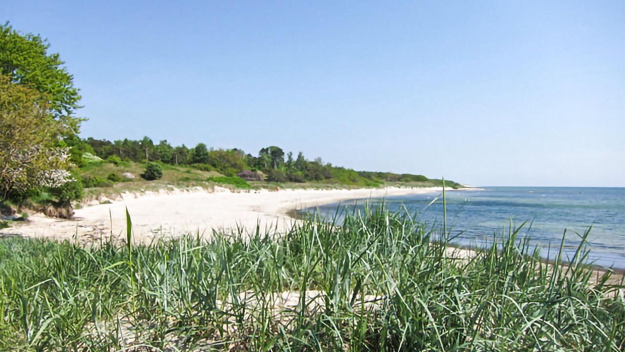 Photo of Others in Sømarken