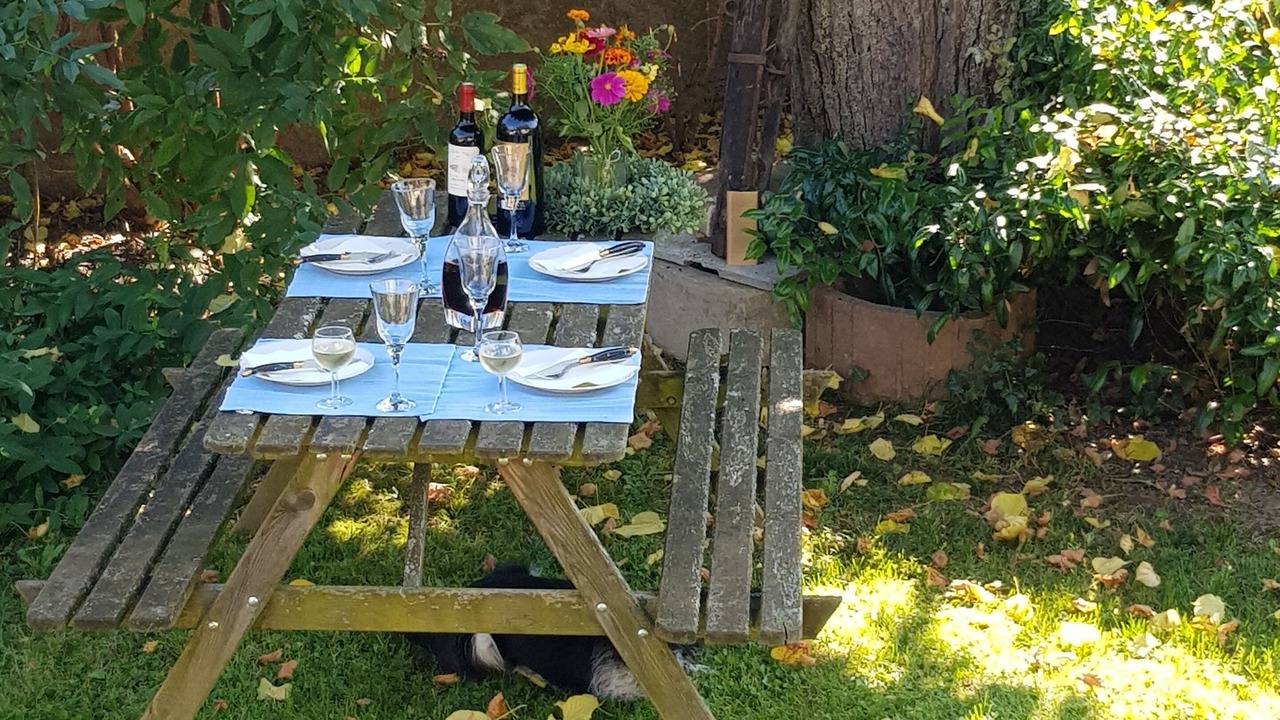 Photo of Outdoor in Cosswiller