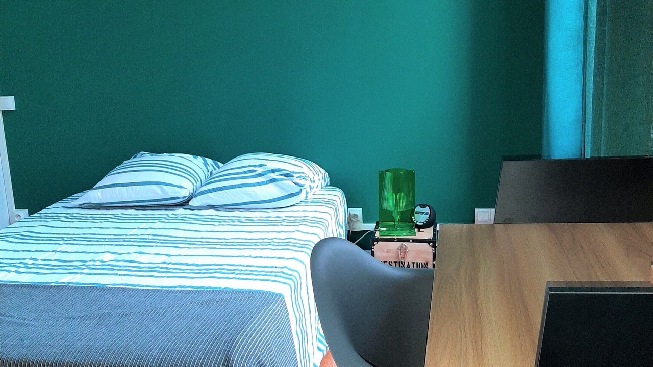 Photo of Bedroom in Tarbes