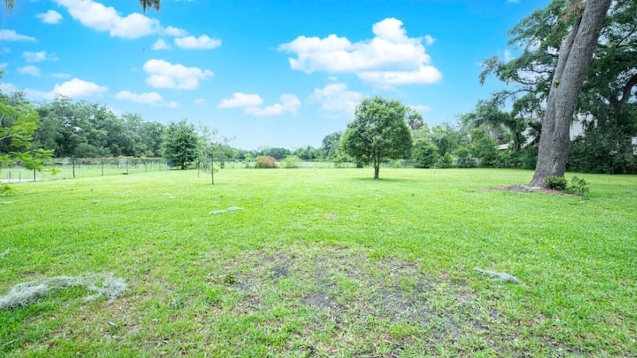 Photo of Outdoor in Plant City