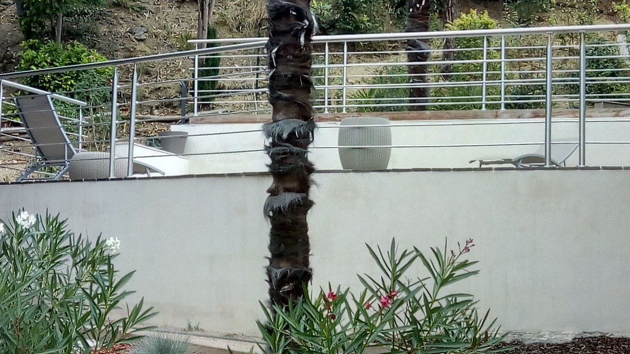 Photo of Outdoor in Pech-David