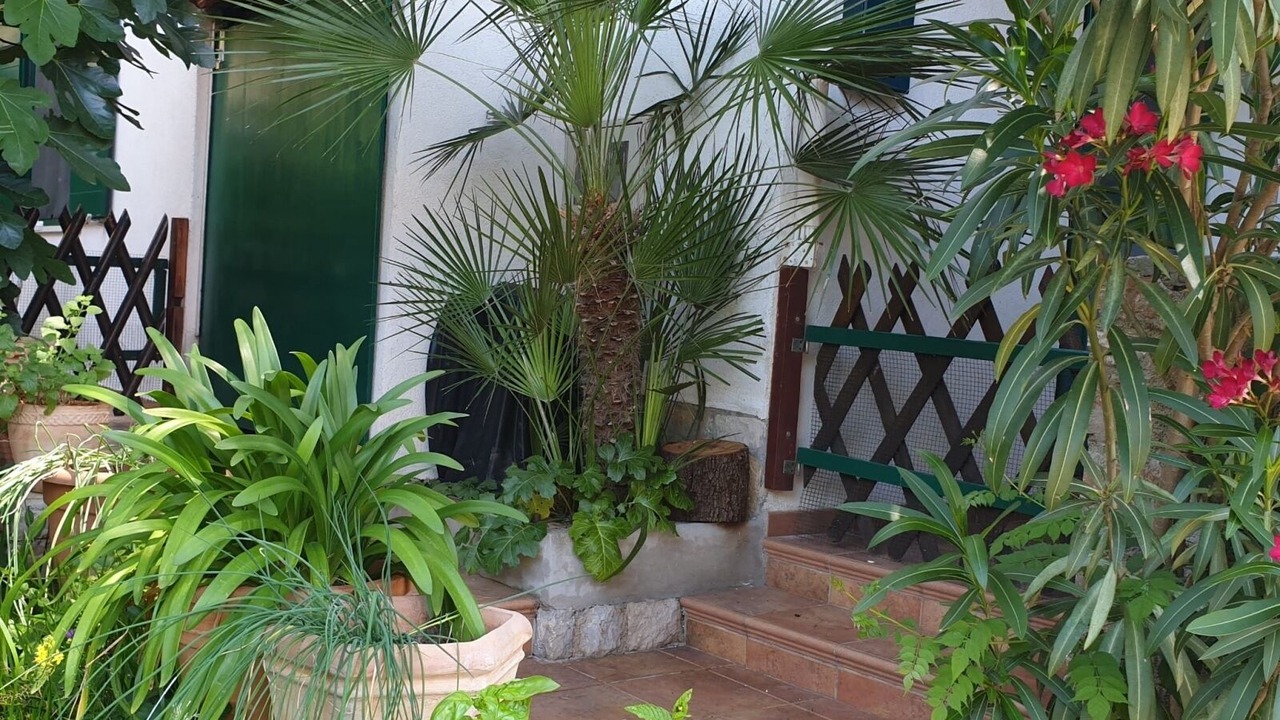 Photo of Outdoor in Artatore
