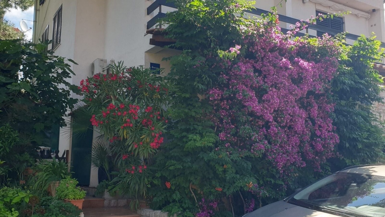 Photo of Outdoor in Artatore