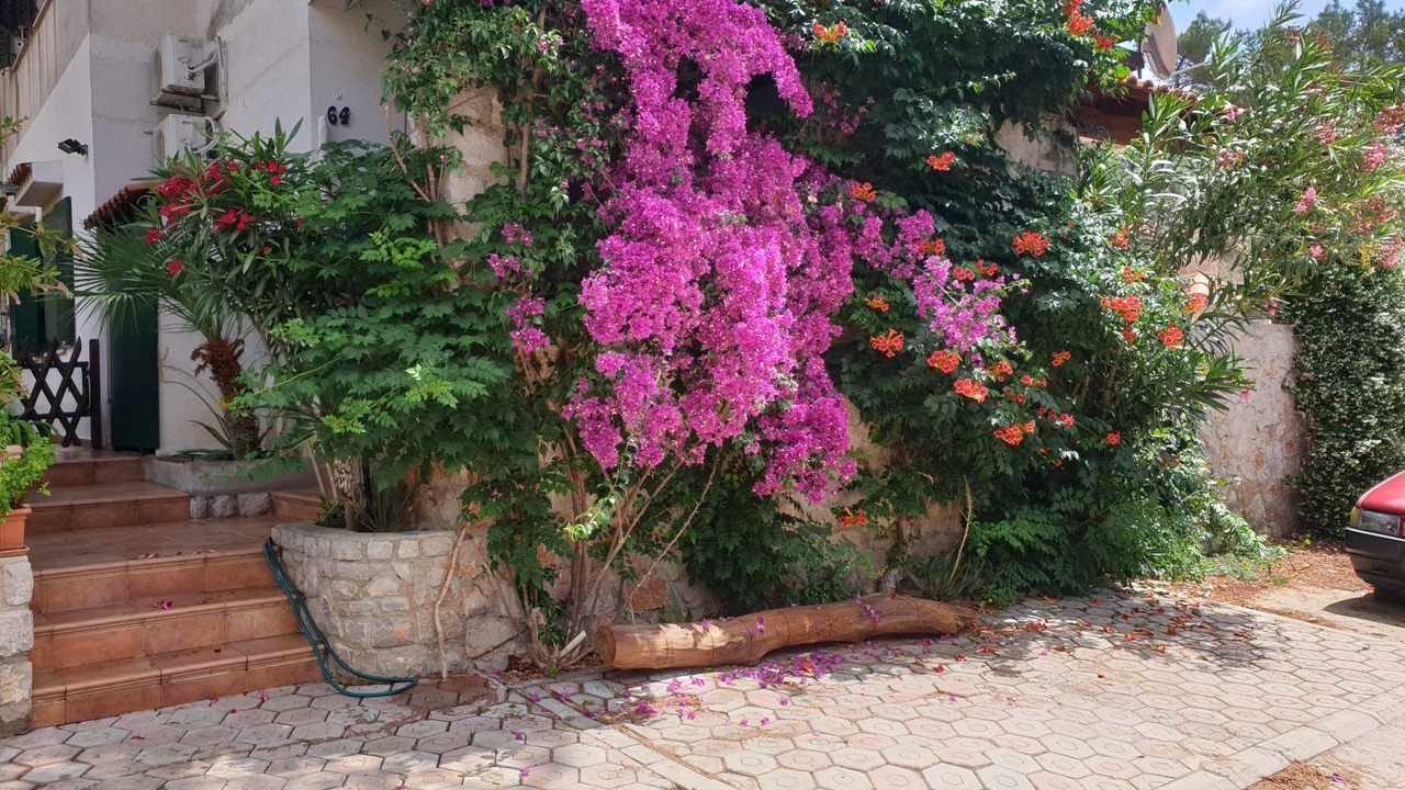 Photo of Outdoor in Artatore