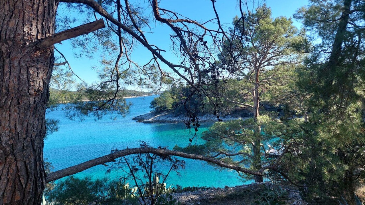 Photo of Others in Artatore