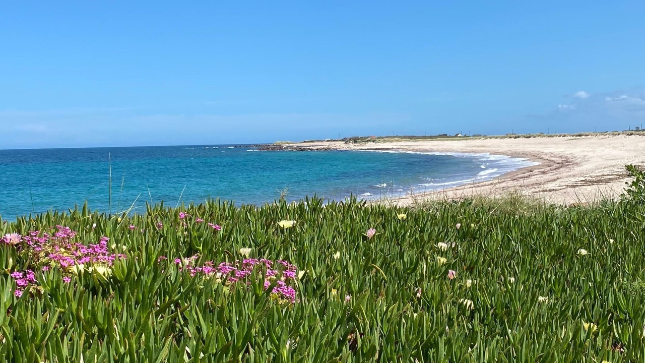 Photo of Others in Fermanville