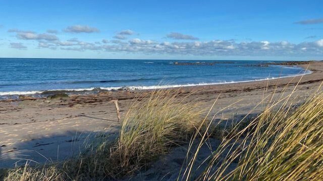 Photo of Others in Fermanville