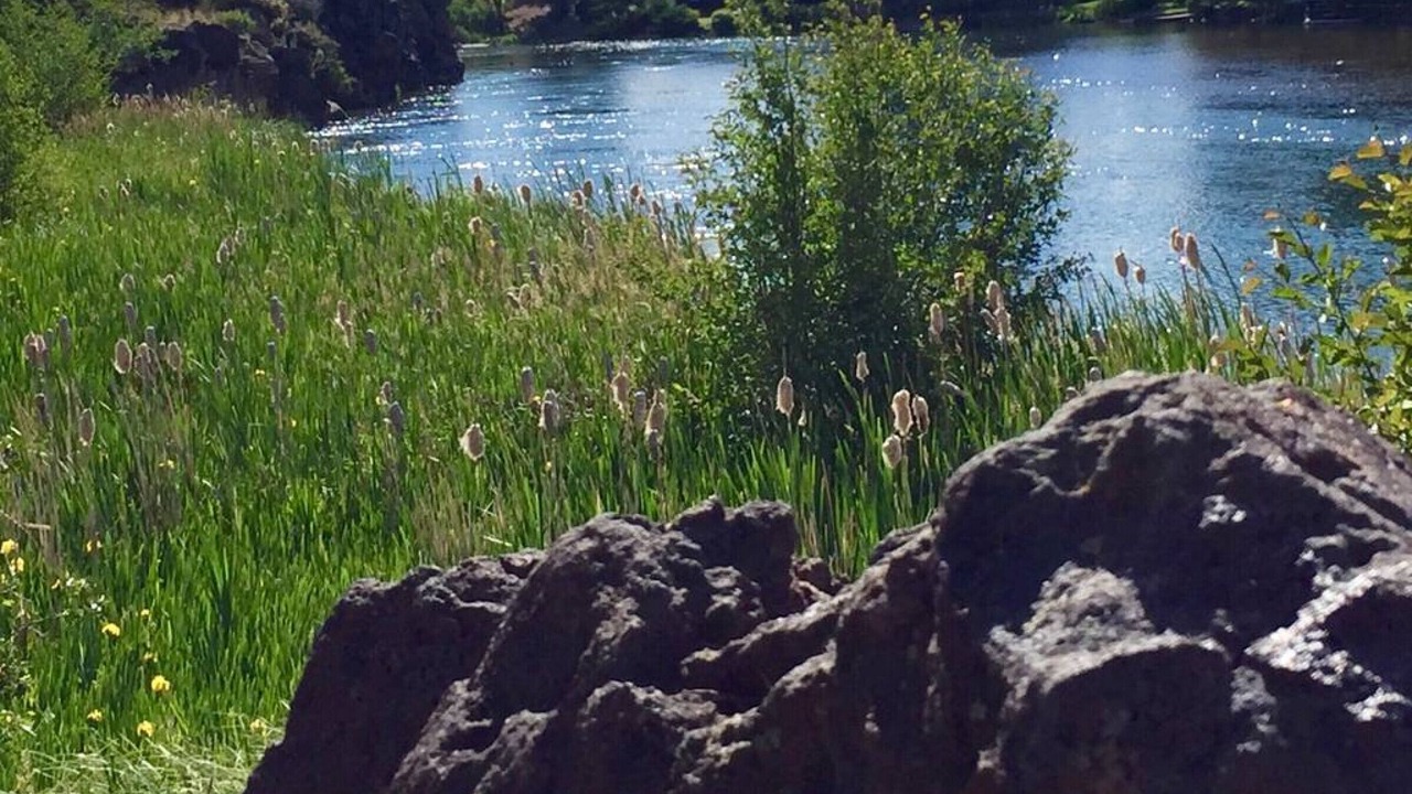 Photo of Others in Bend