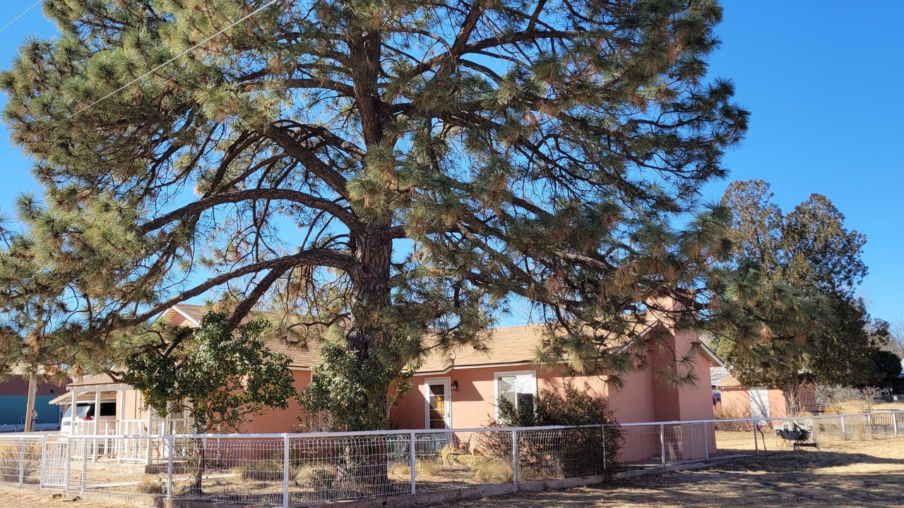 Photo of Outdoor in Fort Davis