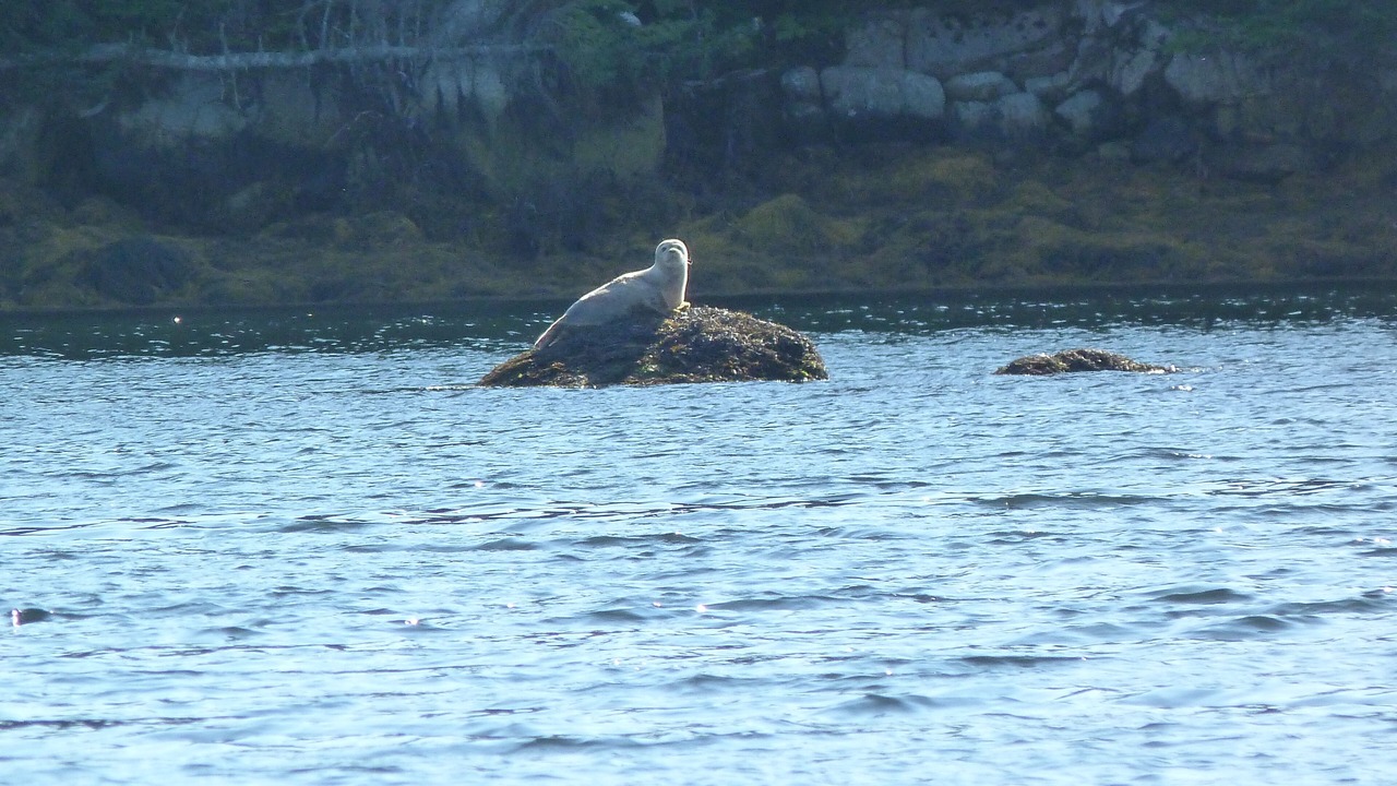 Photo of Others in Halifax County