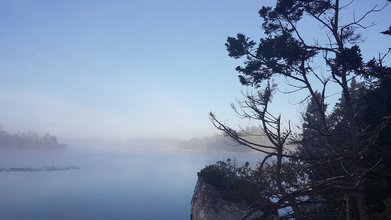 Photo of Others in Halifax County