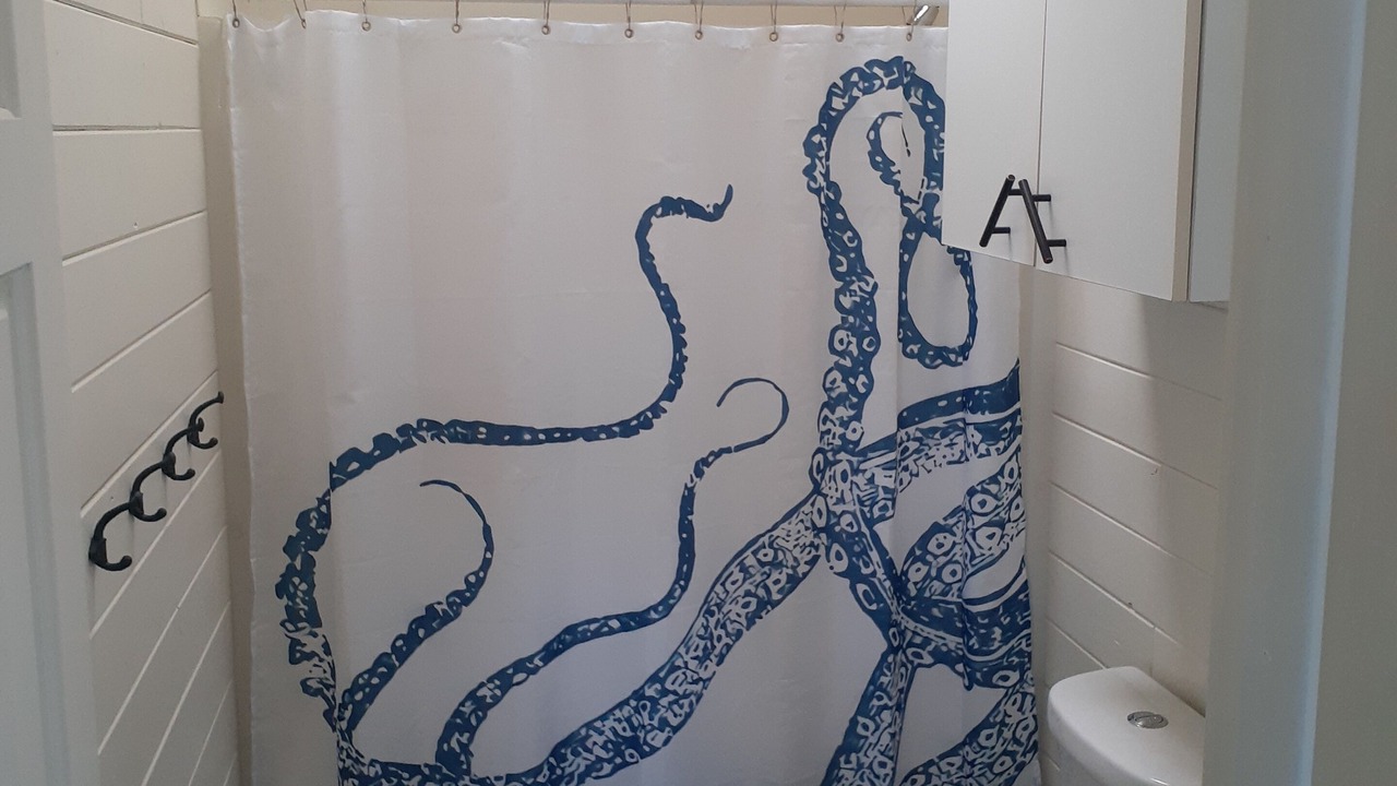 Photo of Bathroom in Orr