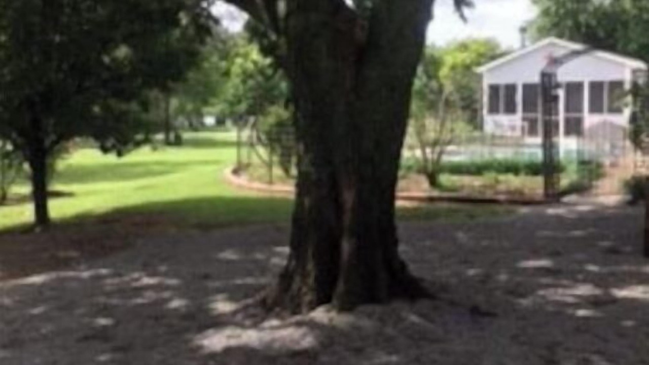 Photo of Outdoor in Pryor