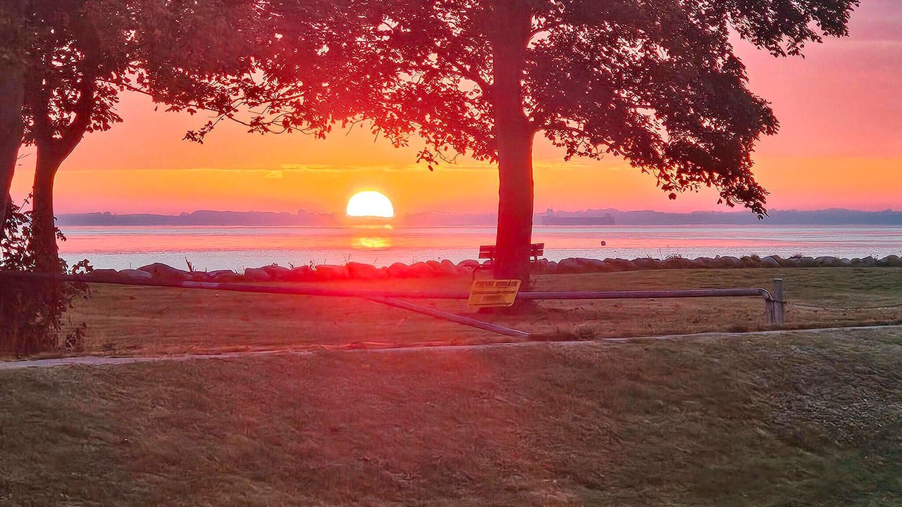 Photo of Others in Jørgensø