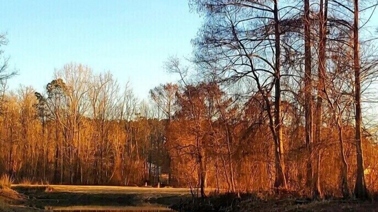 Photo of Outdoor in Many