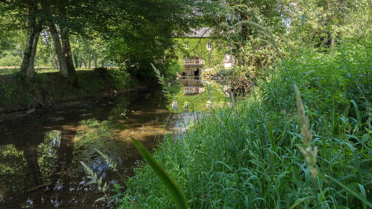 Photo of Outdoor in Clemont