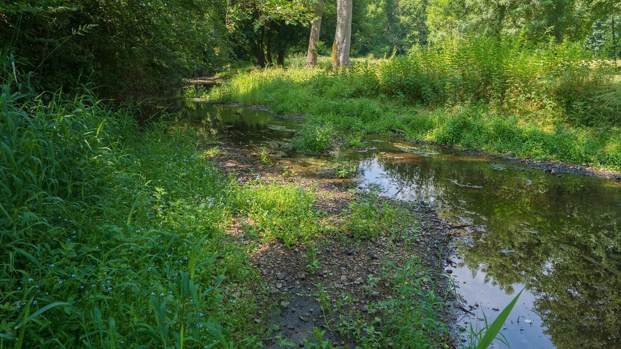 Photo of Outdoor in Clemont