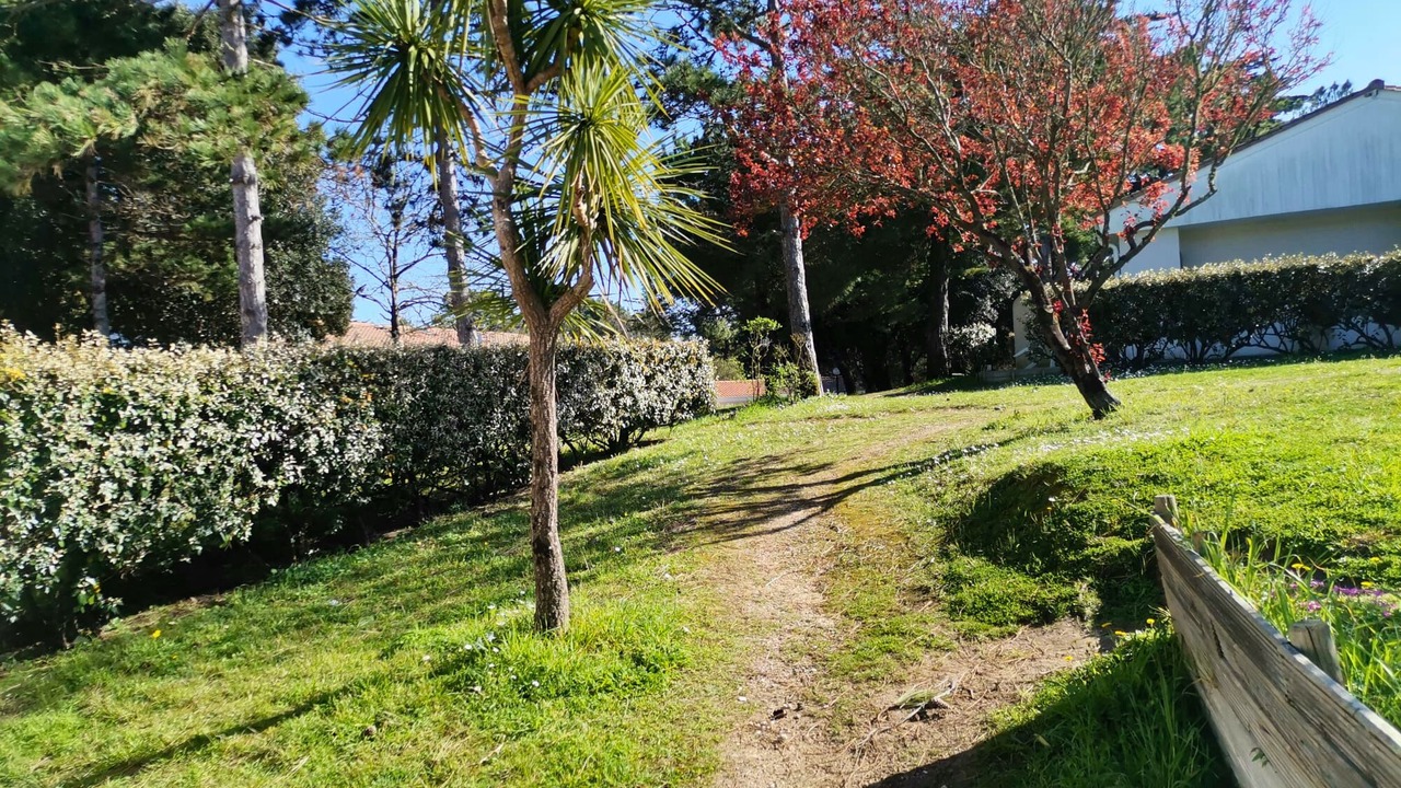 Photo of Outdoor in Saint-Georges-d'Oleron