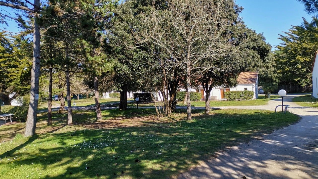 Photo of Outdoor in Saint-Georges-d'Oleron
