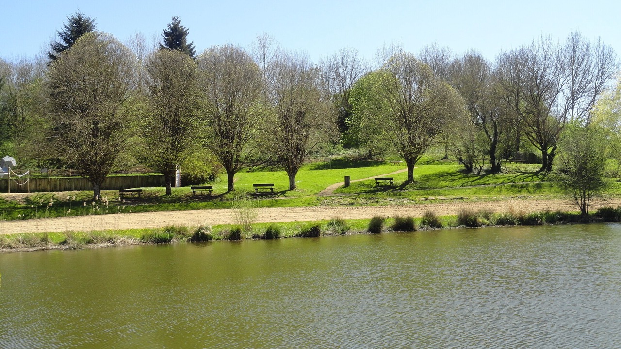 Photo of Outdoor in Saint-Georges-d'Oleron