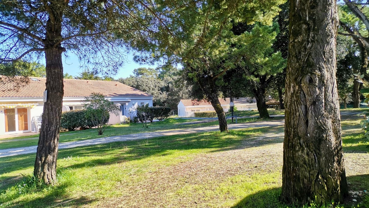 Photo of Outdoor in Saint-Georges-d'Oleron