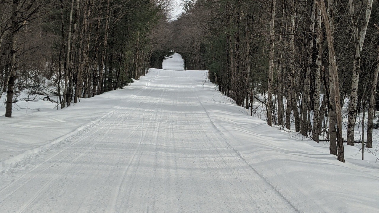 Photo of Others in Altmar