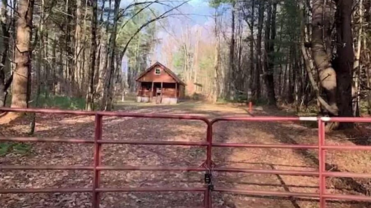 Photo of Others in Altmar