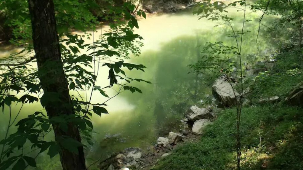 Photo of Outdoor in Ashville