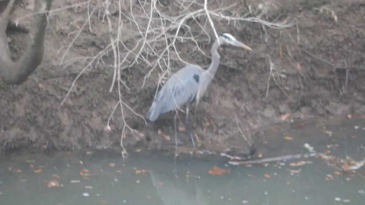 Photo of Others in Ashville